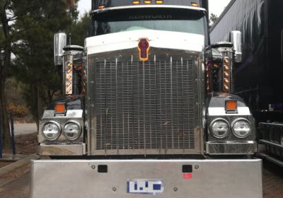 Stainless Steel Bug Deflector To Suit Kenworth T610 SAR