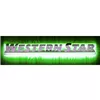 LED Badge Backlight Side Green To Suit Western Star