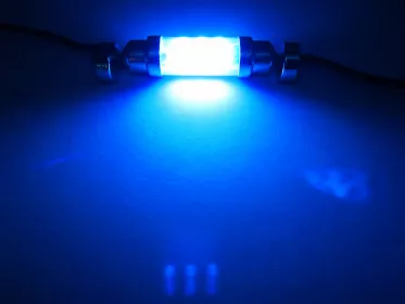 LED Globe 12 Volt Festoon Blue