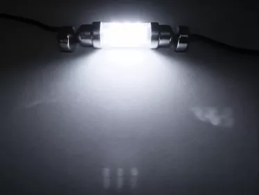 LED Globe 12 Volt Festoon Clear