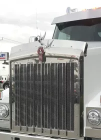 Stainless Steel Bug Deflector To Suit Kenworth T610 SAR